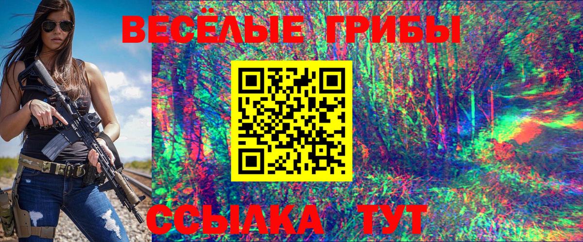 Псилоцибиновые грибы Psilocybe  Галлюциногенные грибы MAGIC MUSHROOMS  Кимовск  Вход с VPN 